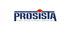 Prosista